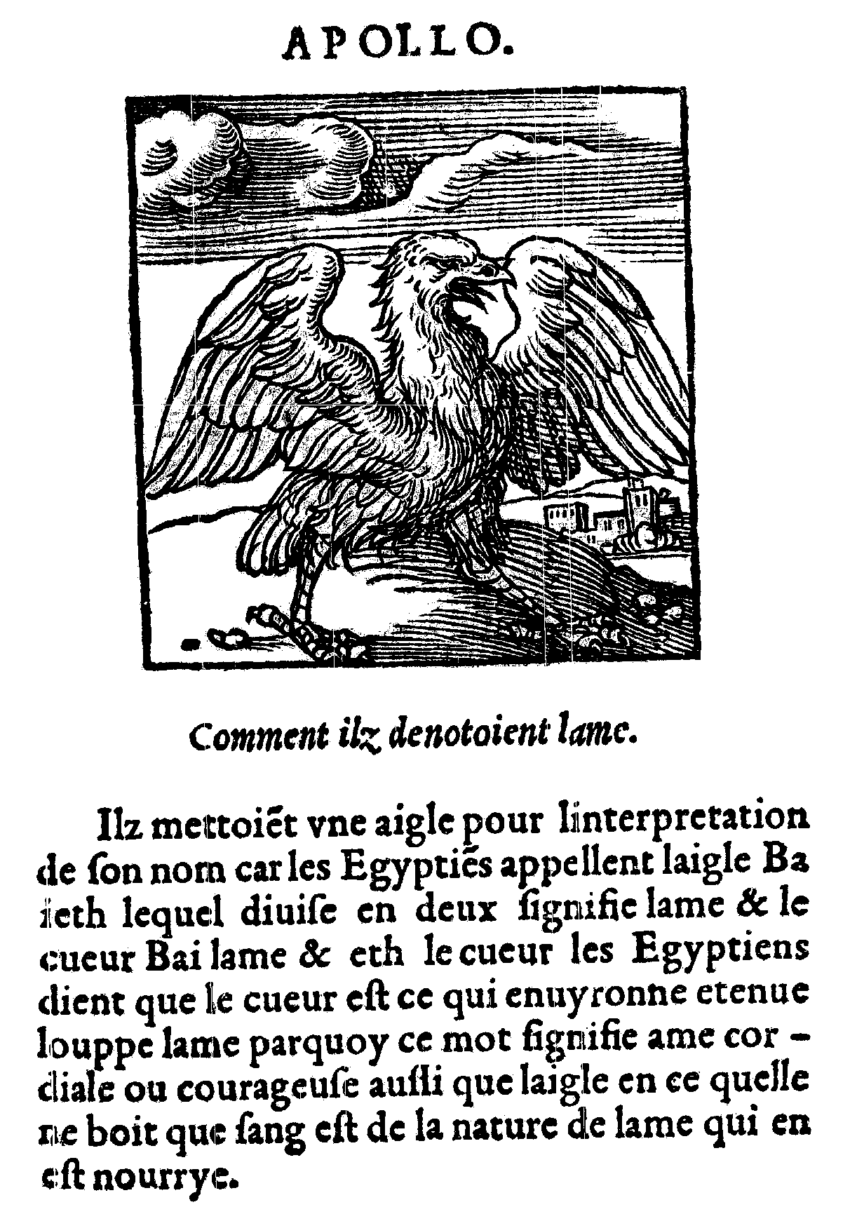 Horapollo, éd. Kerver, 1543