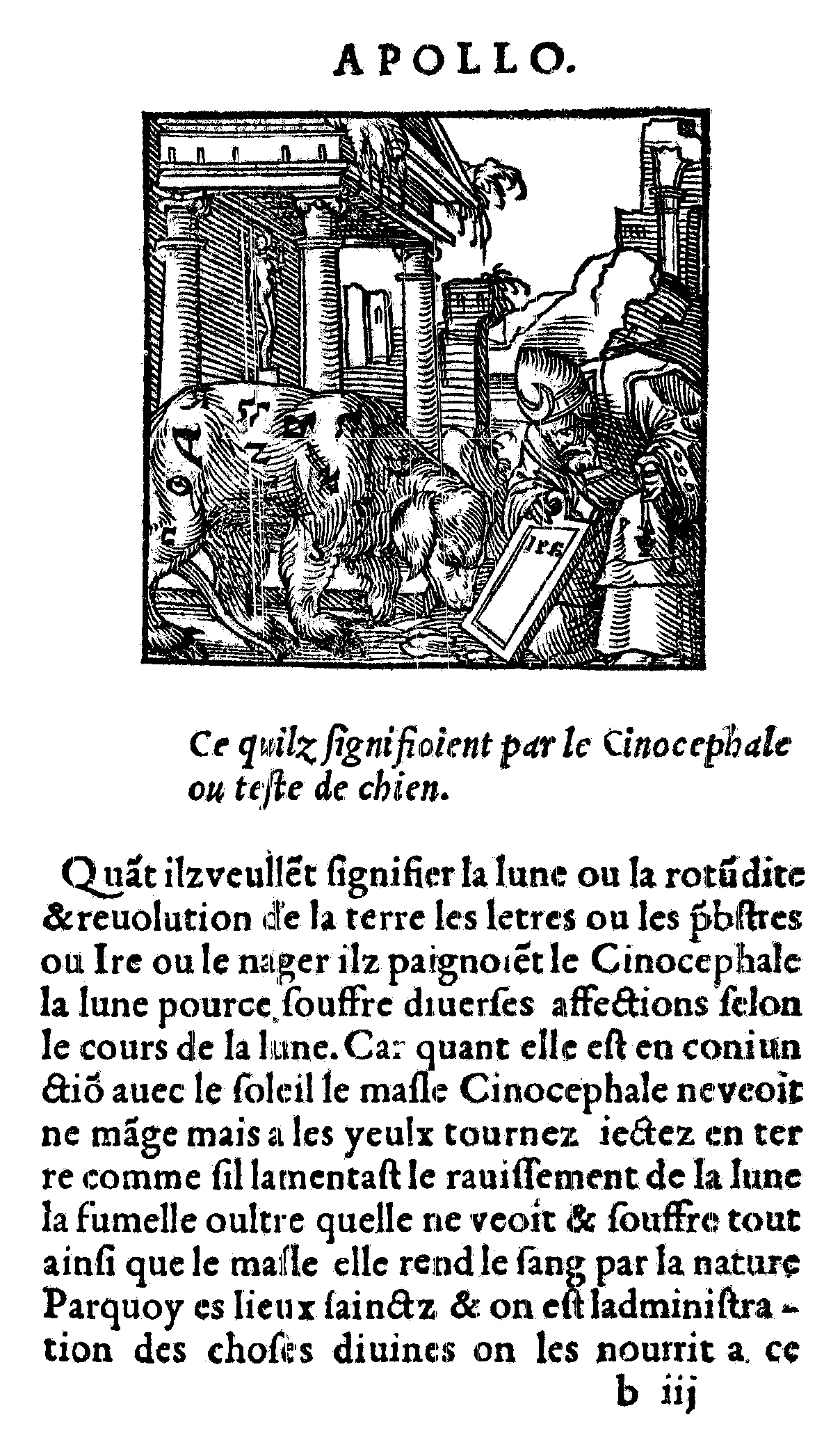 PTHA Cynocéphale (in Kerver 1543)