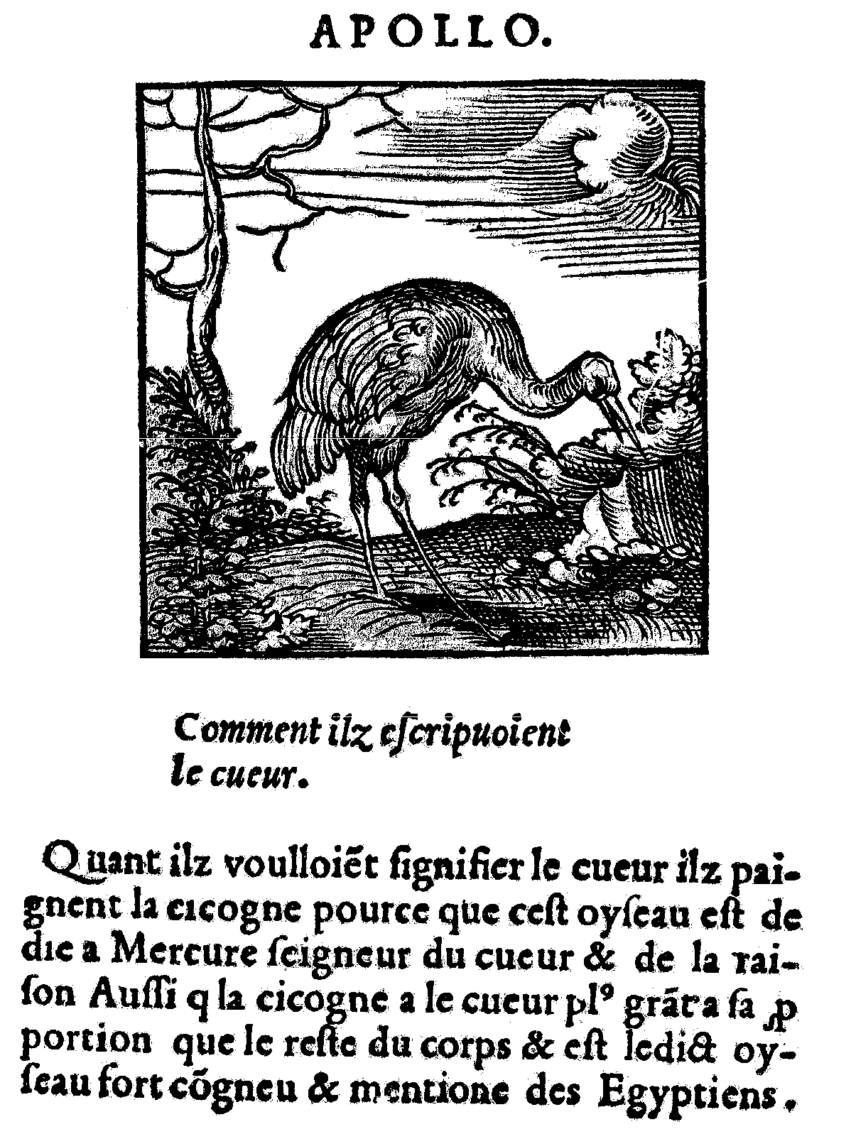 la cigogne : Mercure (d’après Horapollon), édition J.Kerver, 1543