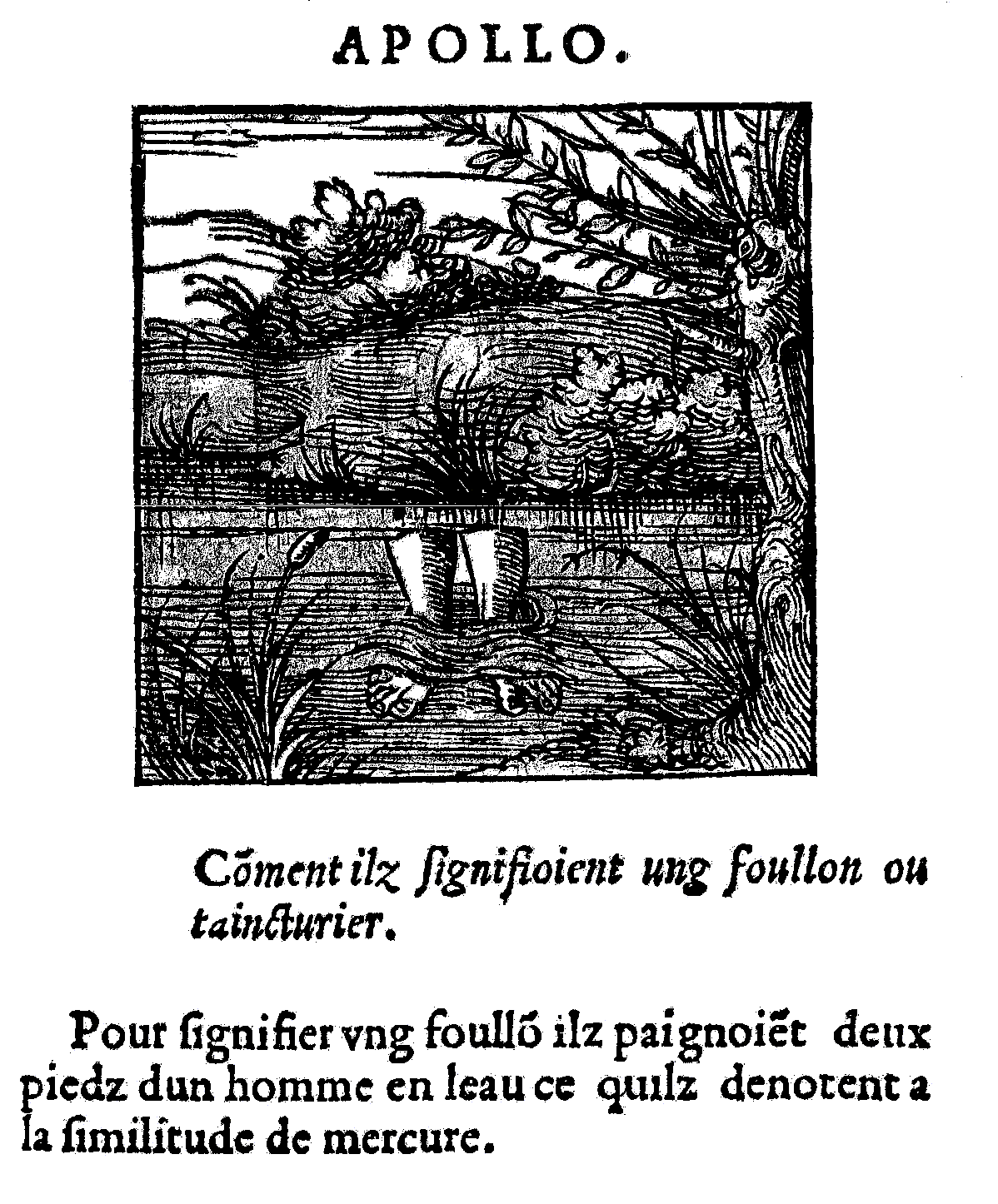 Mercure : foulon ou teinturier, d'après Horapollo, Ed. Kerver, 1543