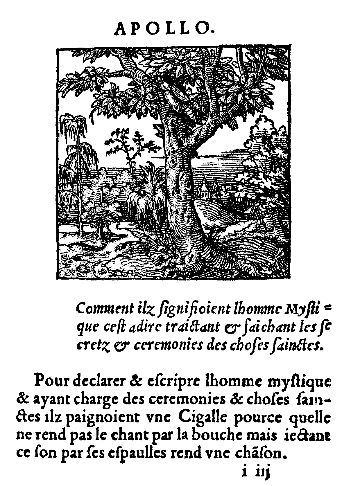 Horapollo, La cigale (Orus Apollo, Kerver, 1543)