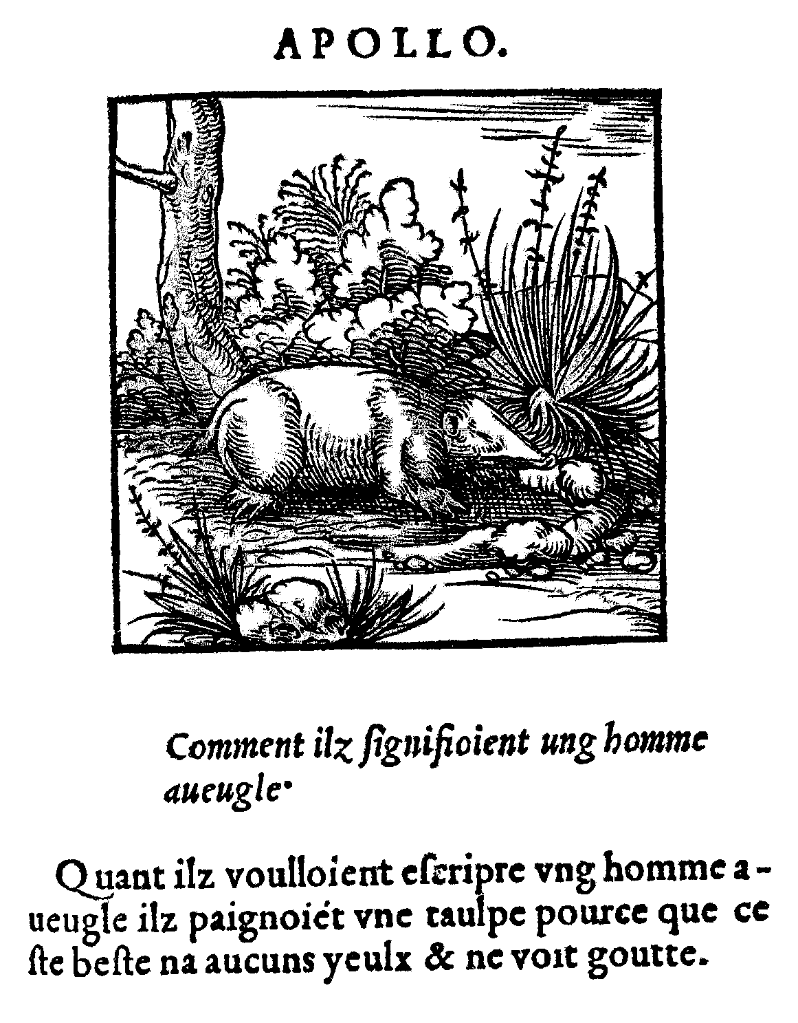 Orus Apollo, éd. Kerver, 1543