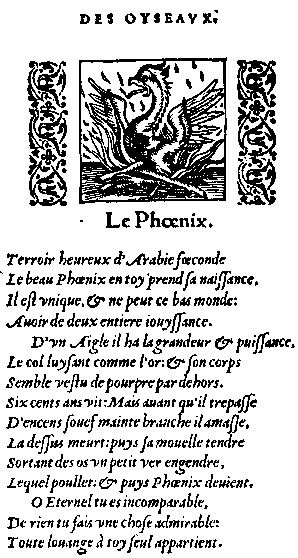 Le phoenix, de Guillaume Guéroult, 1550